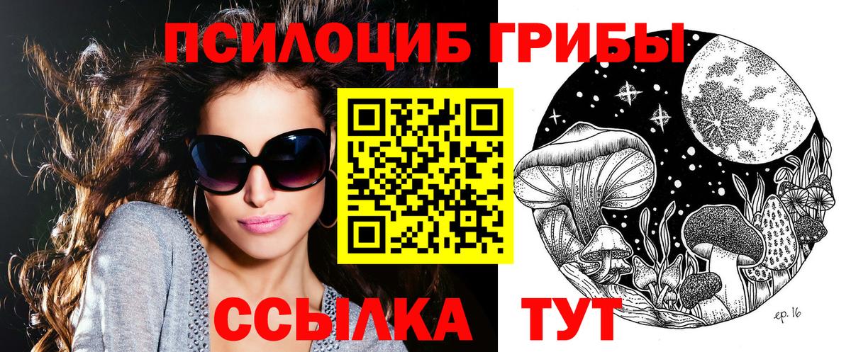 купить наркотик  Вход с VPN  Гуково  Псилоцибиновые грибы Psilocybine cubensis 